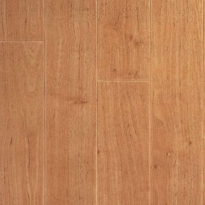 Alder mid
